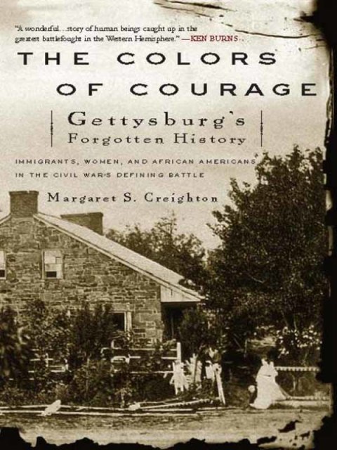 Cover image for book The Colors of Courage