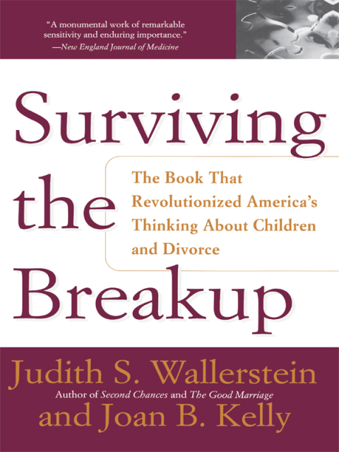 Cover image for book Surviving The Breakup