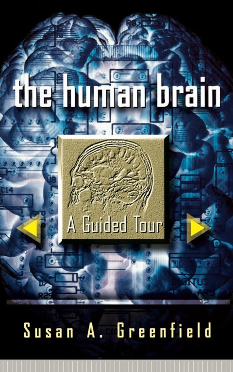 Cover image for book The Human Brain
