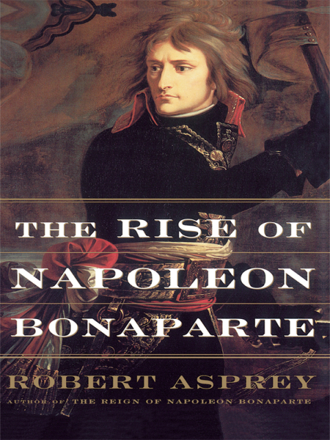 Cover image for book The Rise Of Napoleon Bonaparte