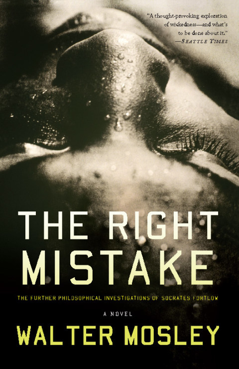 Cover image for book The Right Mistake