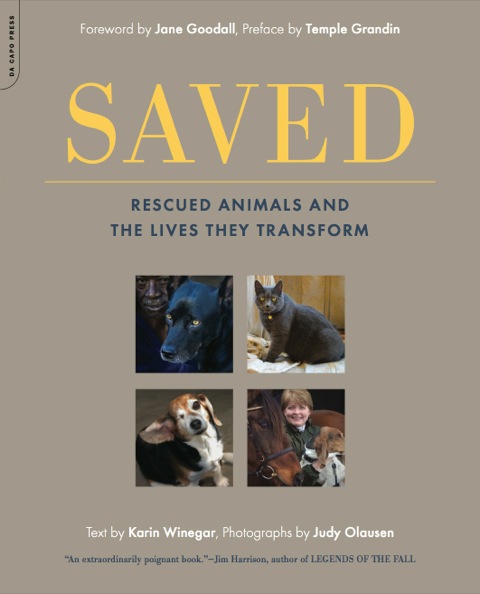 Cover image for book Saved