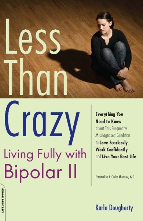 Cover image for book Less than Crazy