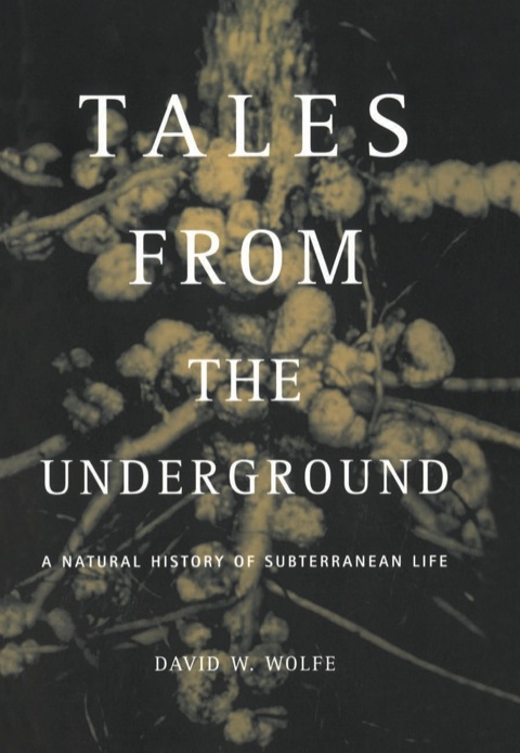 Cover image for book Tales From The Underground