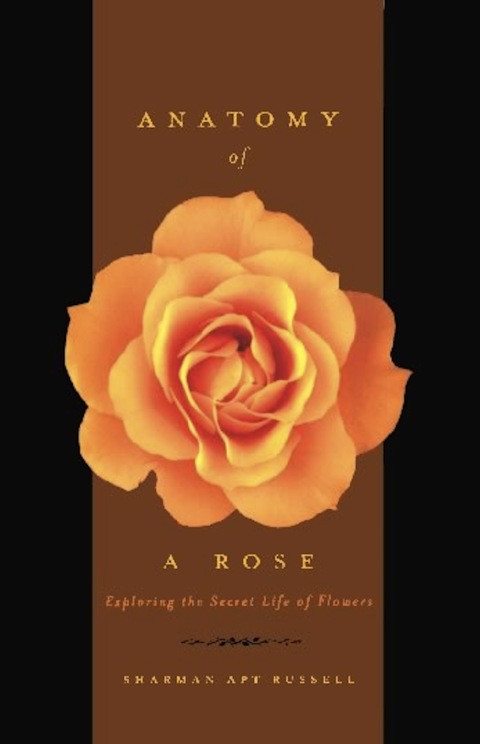 Cover image for book Anatomy Of A Rose