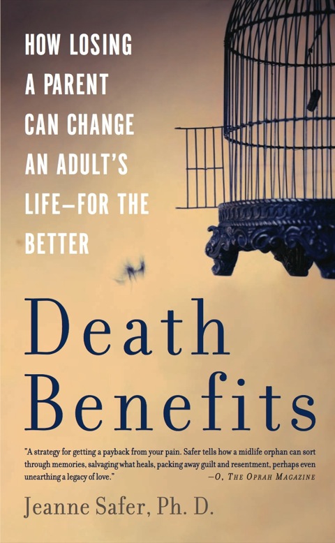 Cover image for book Death Benefits