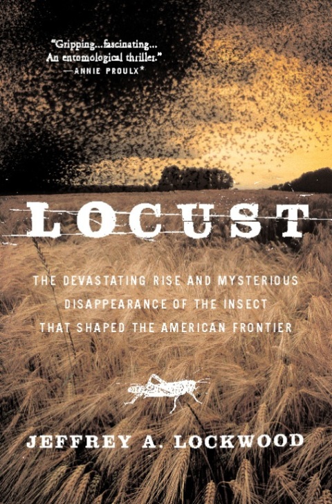 Cover image for book Locust