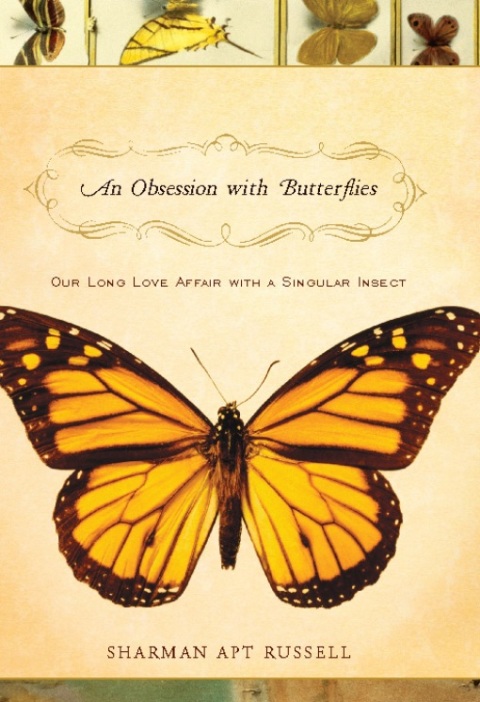 Cover image for book An Obsession With Butterflies
