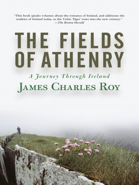 Cover image for book The Fields Of Athenry
