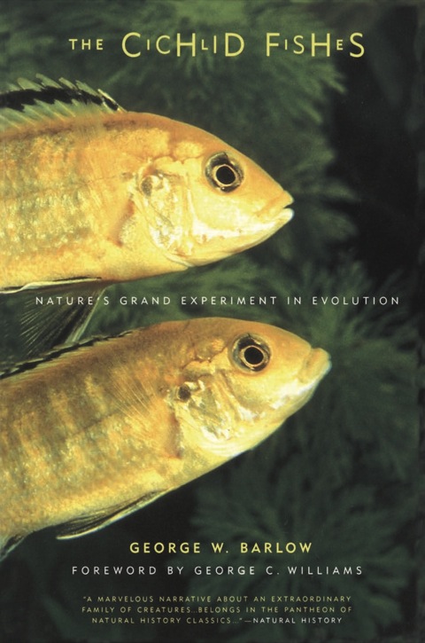 Cover image for book The Cichlid Fishes