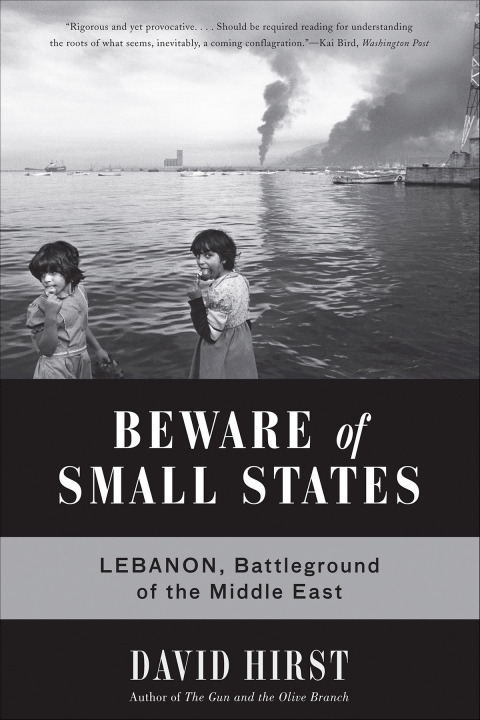 Cover image for book Beware of Small States