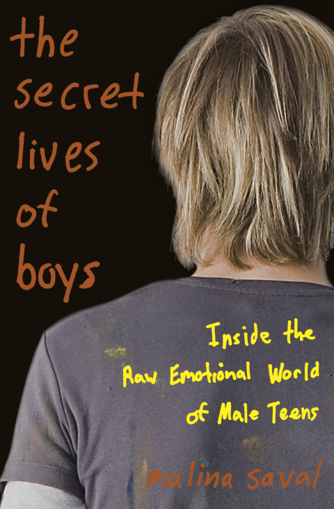 Cover image for book The Secret Lives of Boys