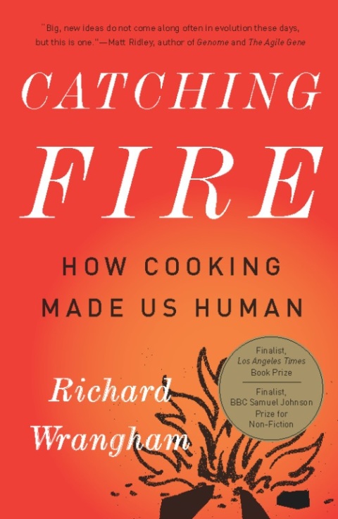 Cover image for book Catching Fire