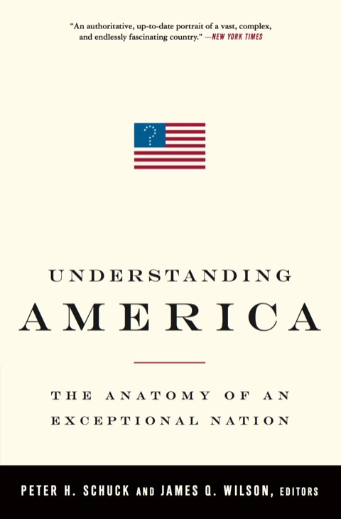 Cover image for book Understanding America