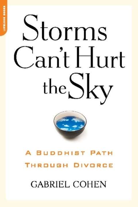 Cover image for book The Storms Can't Hurt the Sky