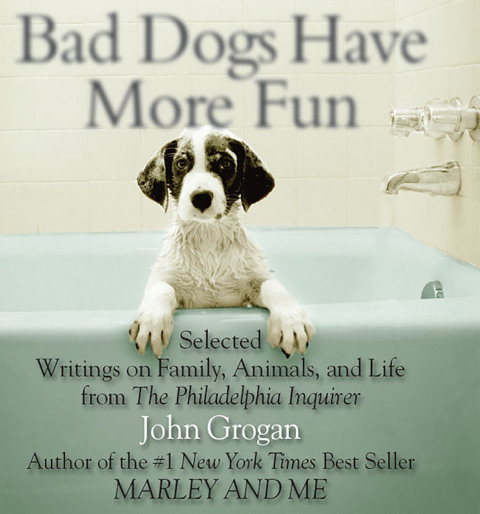 Cover image for book Bad Dogs Have More Fun