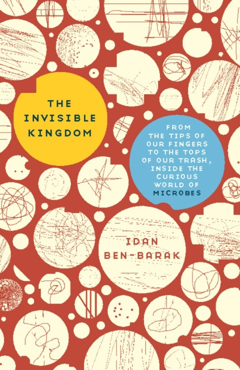 Cover image for book The Invisible Kingdom