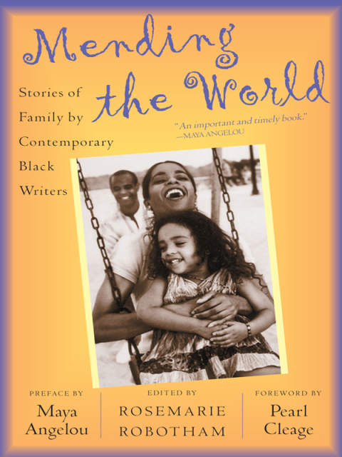 Cover image for book Mending the World
