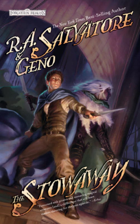 Cover image for book The Stowaway