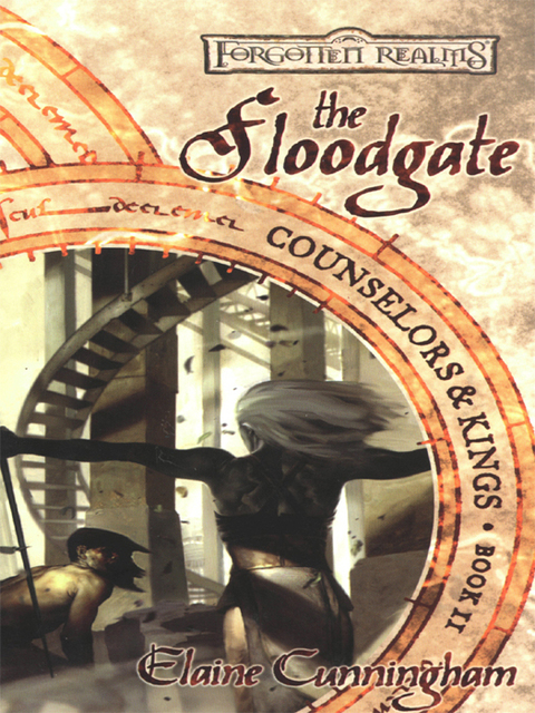 Cover image for book The Floodgate