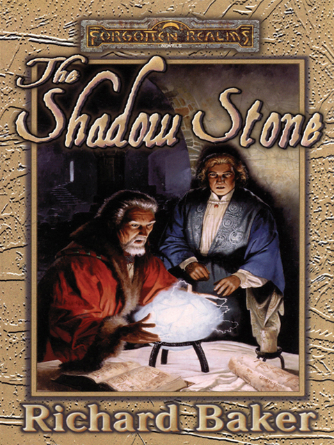 Cover image for book The Shadow Stone