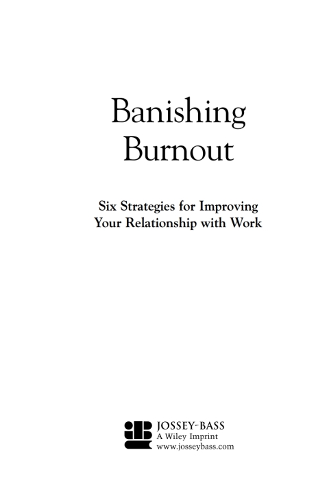 Cover image for book Banishing Burnout