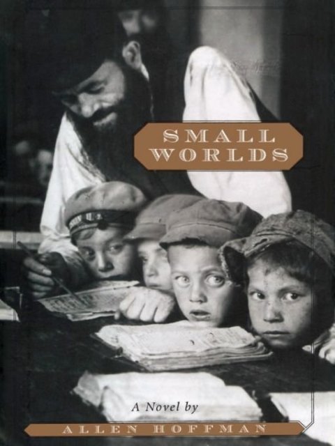 Cover image for book Small Worlds