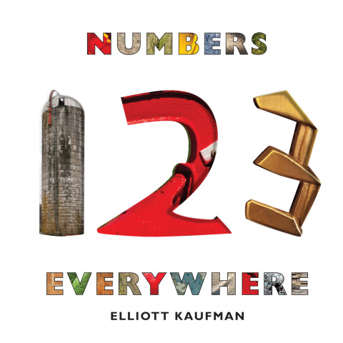 Cover image for book Numbers Everywhere