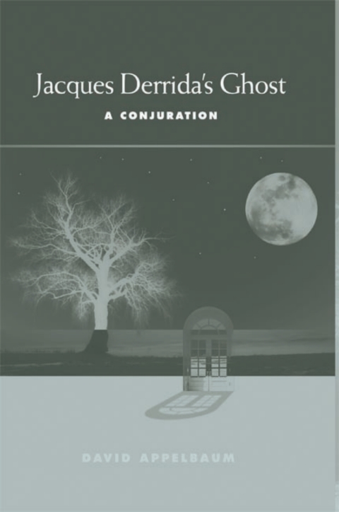 Cover image for book Jacques Derrida's Ghost