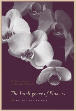 The Intelligence of Flowers