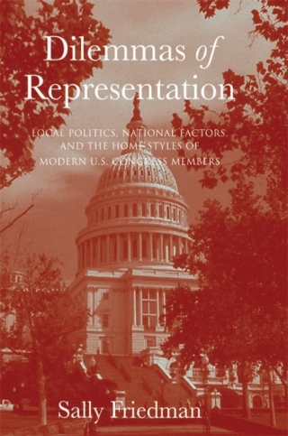 Dilemmas of Representation