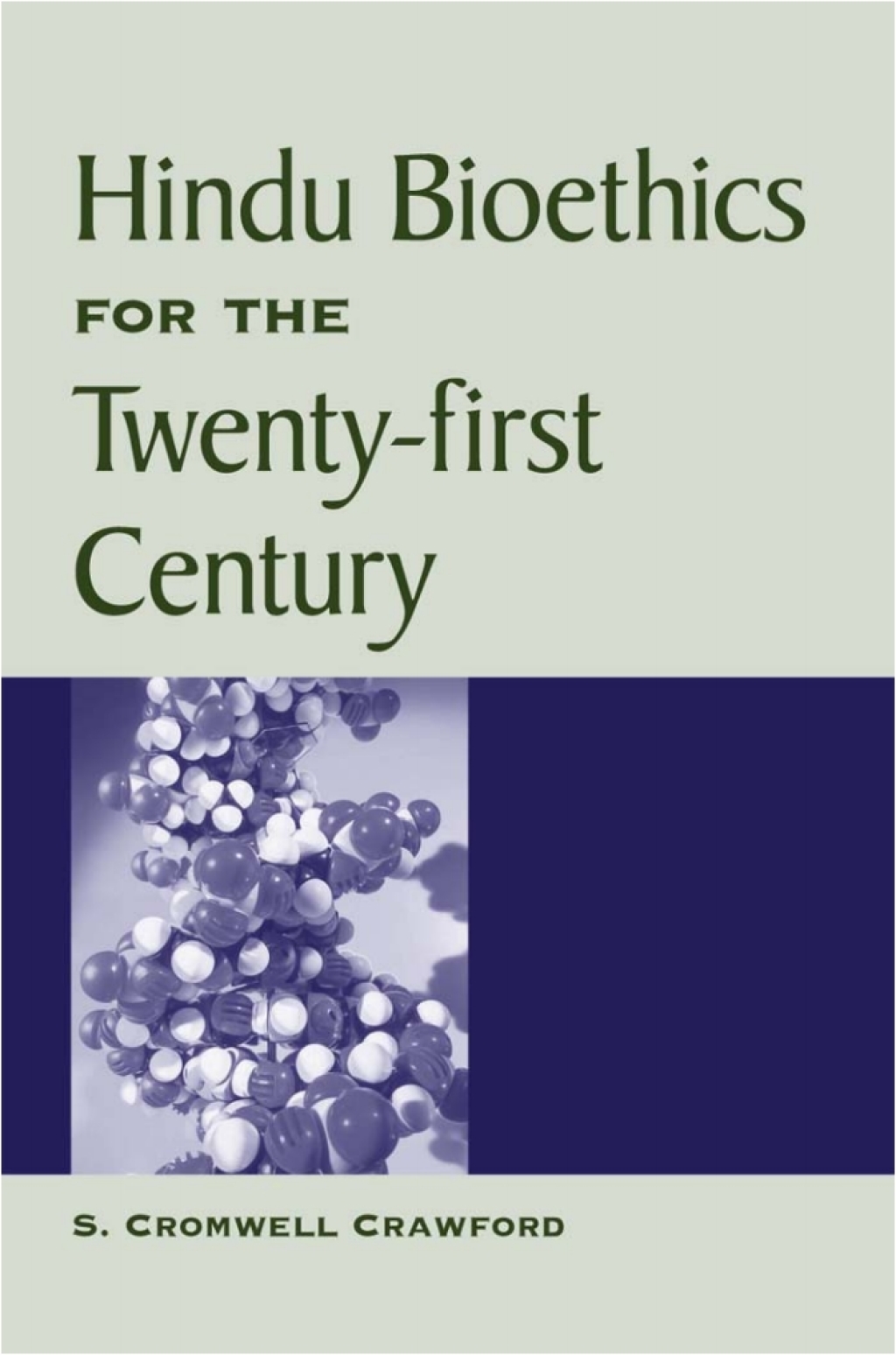 Hindu Bioethics for the Twenty-first Century (eBook) - S. Cromwell Crawford,