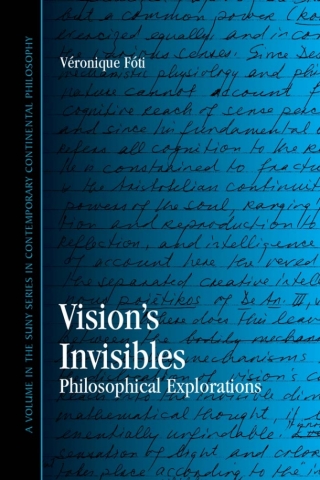 Vision's Invisibles