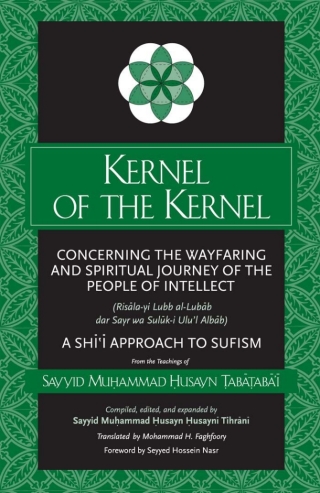 Kernel of the Kernel