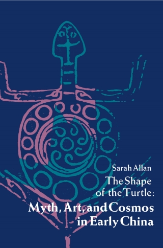 The Shape of the Turtle