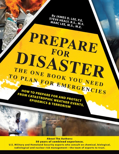 Cover image for book Prepare For Disaster