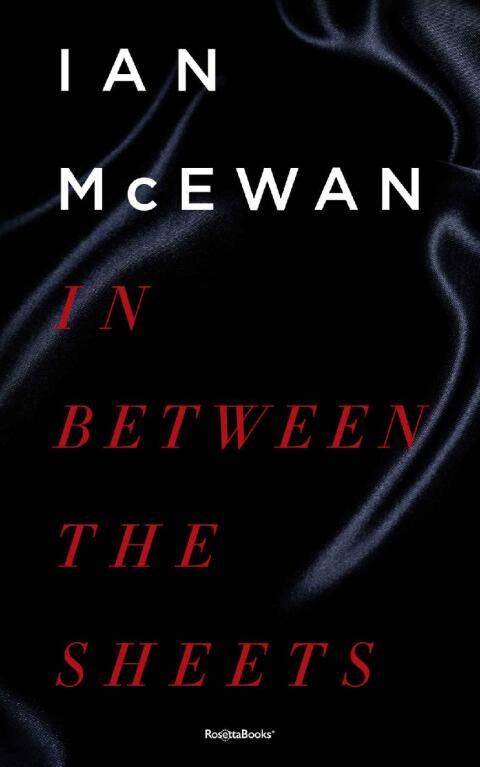 Cover image for book In Between the Sheets
