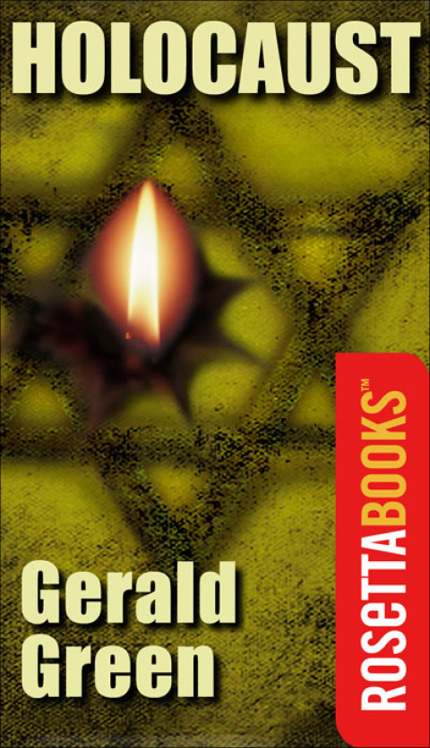 Cover image for book Holocaust