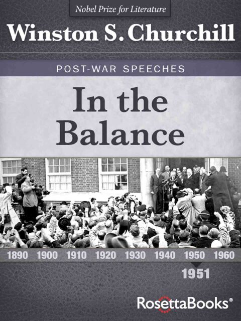 Cover image for book In the Balance