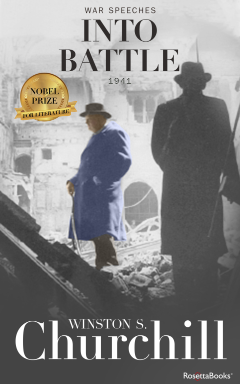 Cover image for book Into Battle