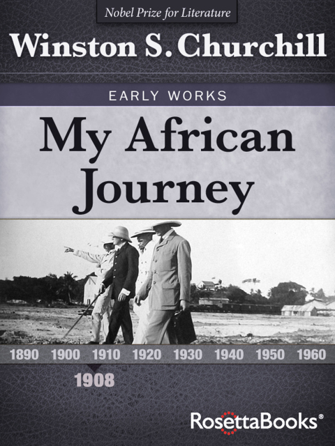 Cover image for book My African Journey