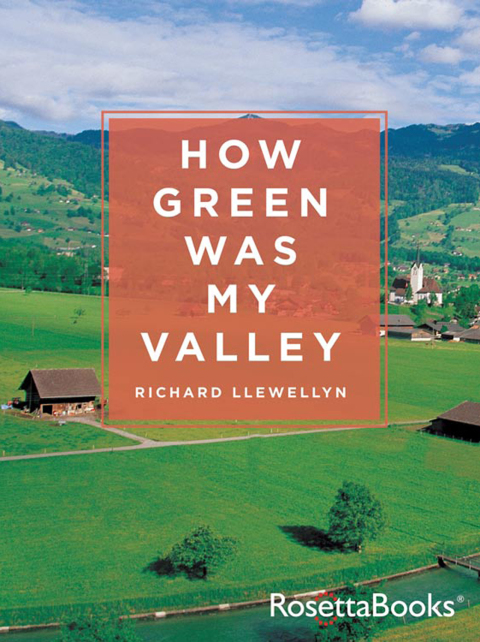 Cover image for book How Green Was My Valley