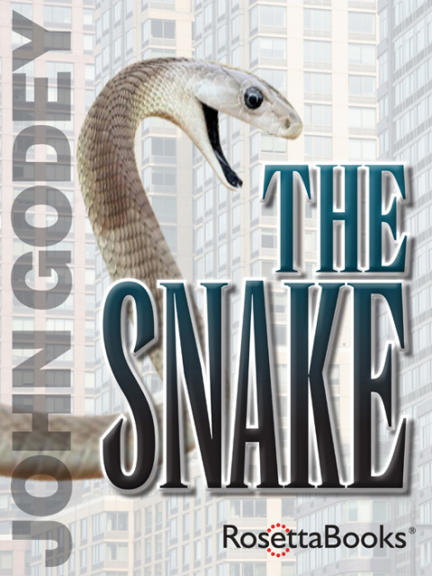 Cover image for book The Snake