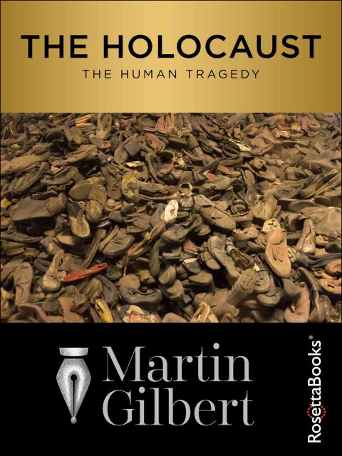 Cover image for book The Holocaust