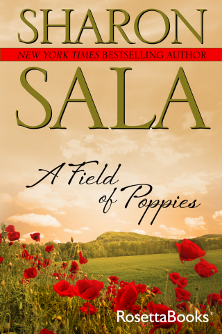 A Field of Poppies
