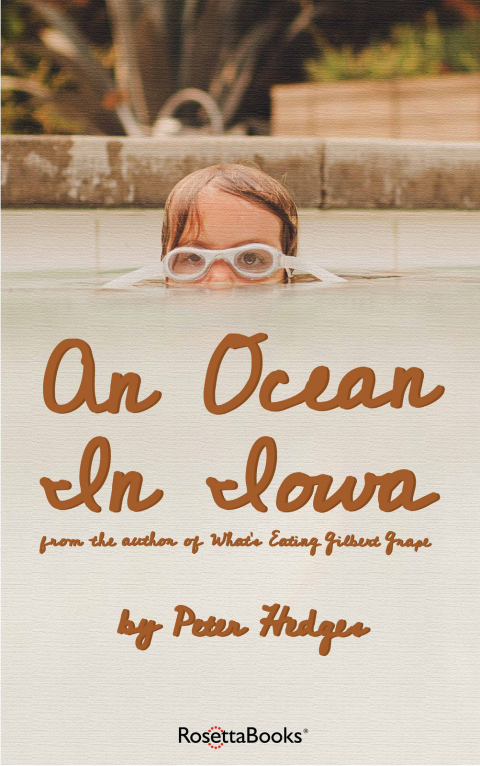 Cover image for book An Ocean in Iowa