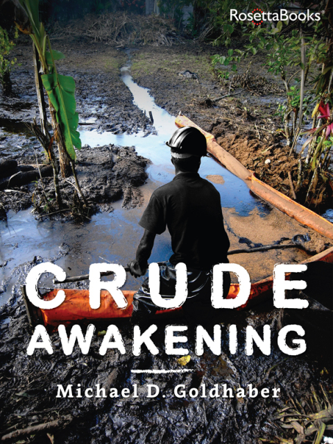 Cover image for book Crude Awakening