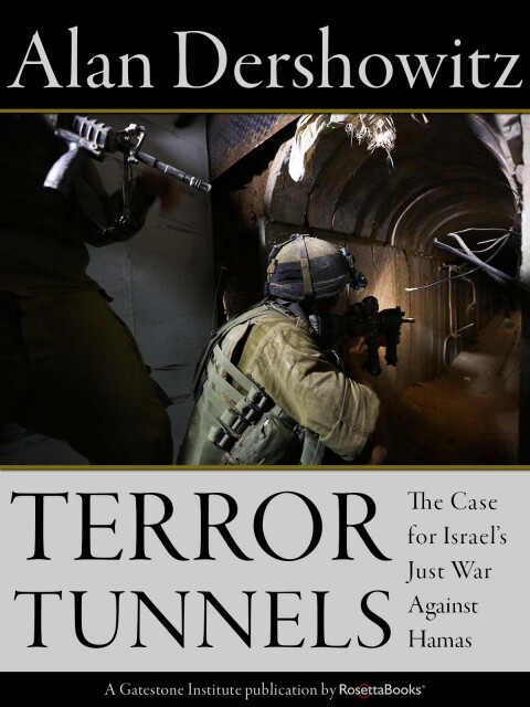 Cover image for book Terror Tunnels
