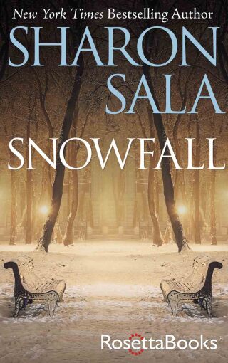Snowfall