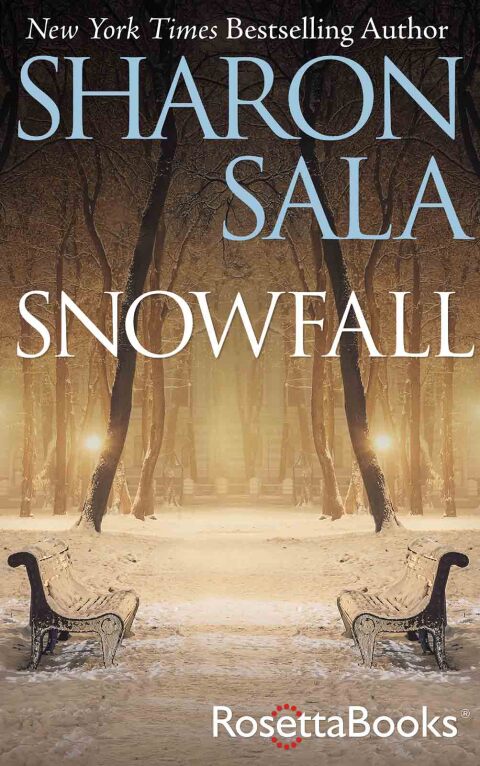 Cover image for book Snowfall